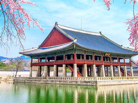 south korea escorted tours|South Korea Tours and Packages Trips 2024